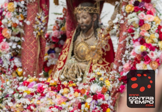 053- ACF7144(Andre Frias)