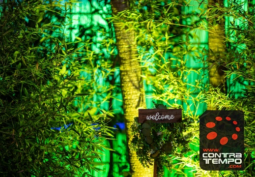 108 ACF1919-Enhanced-NR André Frias