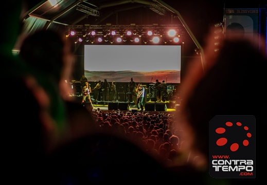 239 ACF2444 André Frias