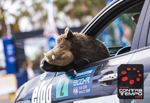 021-ClaudioMPacheco-6201-Claudio Pacheco