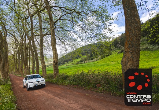 011-ClaudioMPacheco-7711-Claudio Pacheco