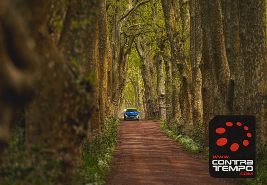 017-ClaudioMPacheco-7540-Claudio Pacheco