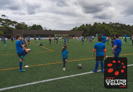 470- ACF4425 Andre Frias