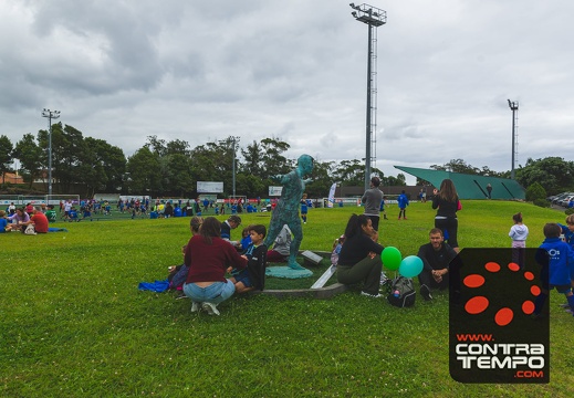 243- VL11861 Veronica Lalanda