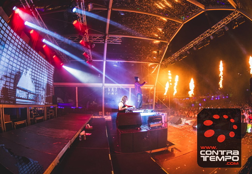 074 ACF3815 (c)André Frias