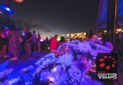 231 ACF3033-Enhanced-NR (c)André Frias