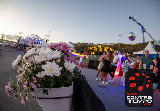 237 ACF3028 (c)André Frias