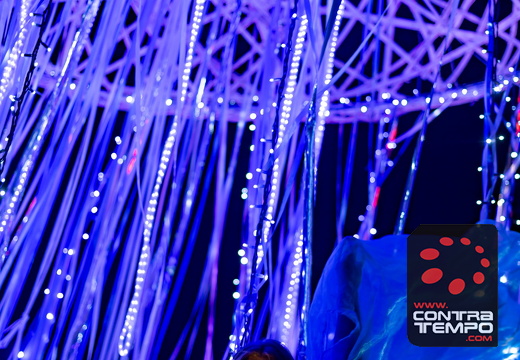 007 ACF8223 (c)André Frias