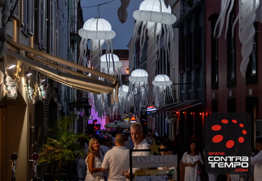 038 ACF7749 (c)André Frias