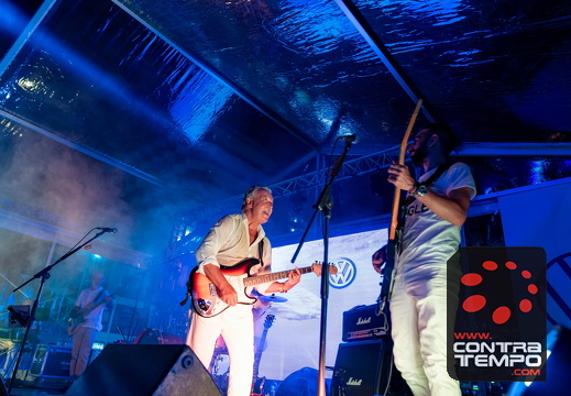 072 ACF8404 (c)André Frias