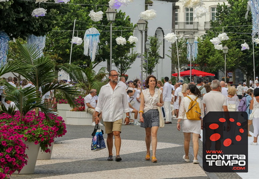 240BC8A1235 (c)João Azevedo