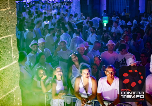 265 ACF8345 (c)André Frias