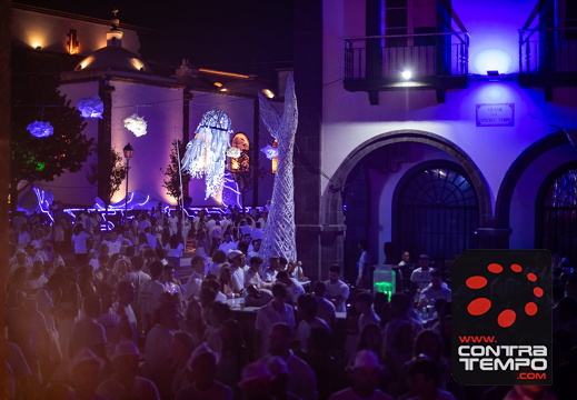 266 ACF8343 (c)André Frias