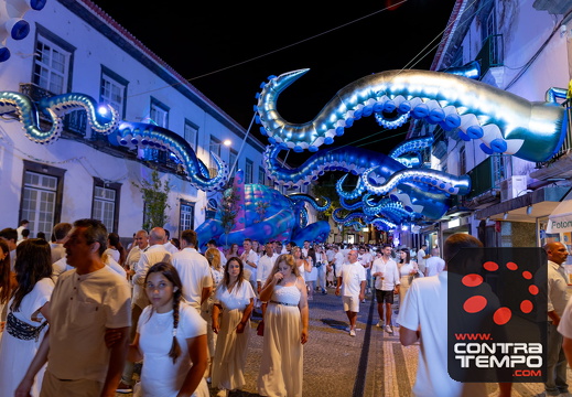 287 ACF8186 (c)André Frias