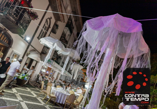 323 ACF8023 (c)André Frias