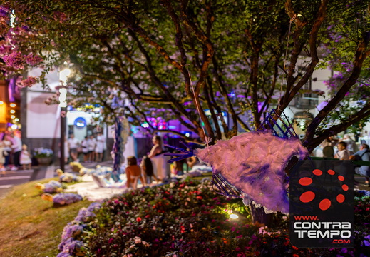 327 ACF8009 (c)André Frias