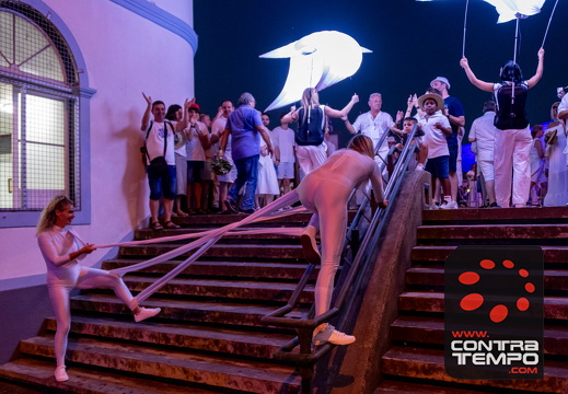 344 ACF7832 (c)André Frias