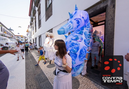 367 ACF4432 (c)André Frias