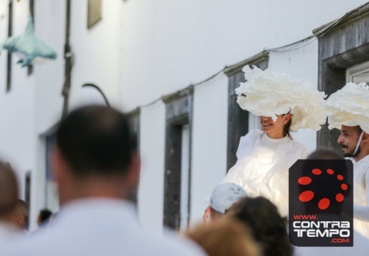 370BC8A1310 (c)João Azevedo