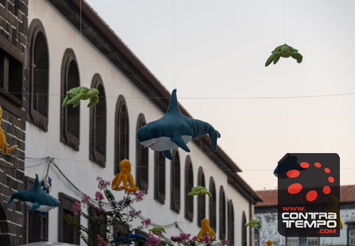 374 ACF7682 (c)André Frias