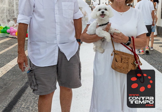 378JAZE3138 (c)João Azevedo