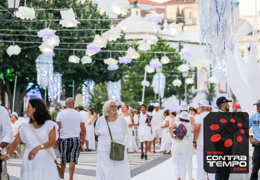 377BC8A1301 (c)João Azevedo