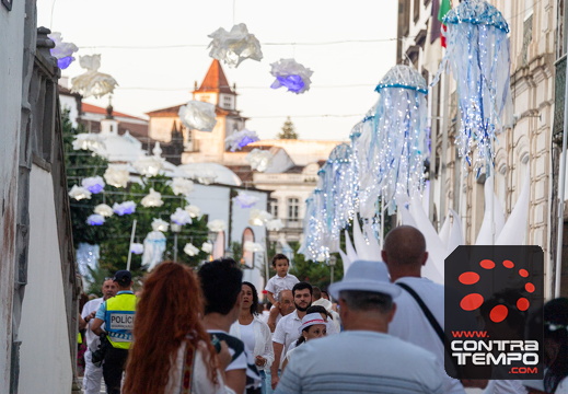 379 ACF7652 (c)André Frias