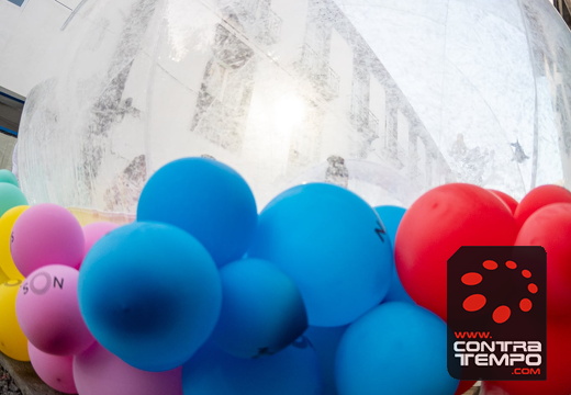 383 ACF4414 (c)André Frias