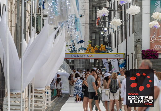 428 ACF7364 (c)André Frias