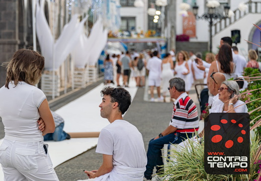 429 ACF7363 (c)André Frias