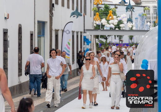 431 ACF7356 (c)André Frias