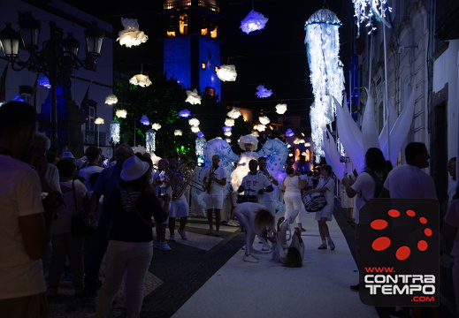 446 ACF7937 (c)André Frias