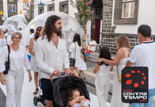 462 ACF7627 (c)André Frias