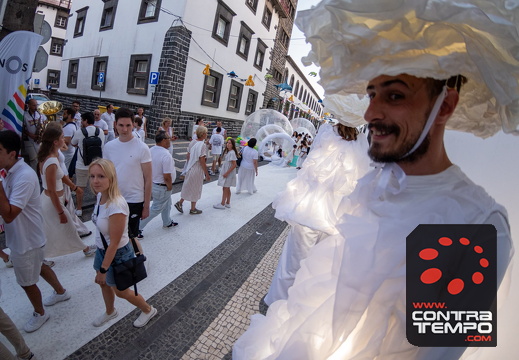 461 ACF4430 (c)André Frias