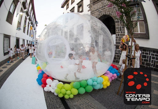 463 ACF4416 (c)André Frias