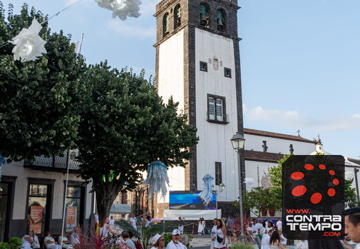 470 ACF7429 (c)André Frias