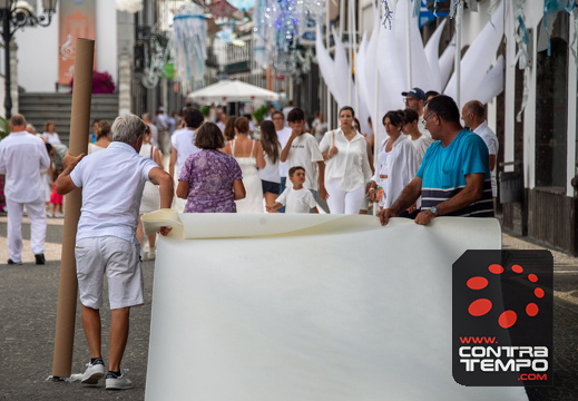 472 ACF7365 (c)André Frias