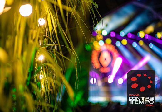 030- ACF2454-Andre Frias Large