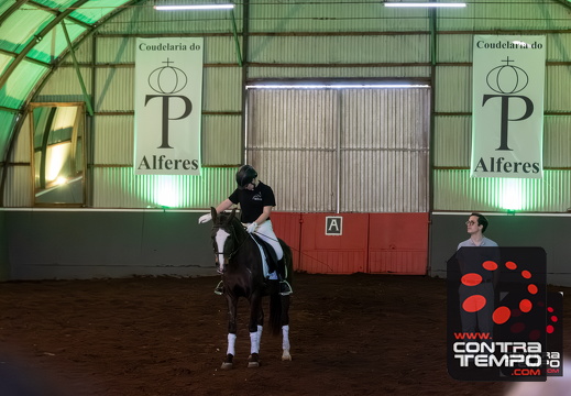 014 ACF6094-Enhanced-NR(Andre Frias)