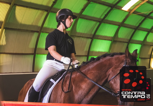 019 ACF6135-Enhanced-NR(Andre Frias)