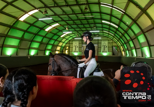 029 ACF6341-Enhanced-NR(Andre Frias)