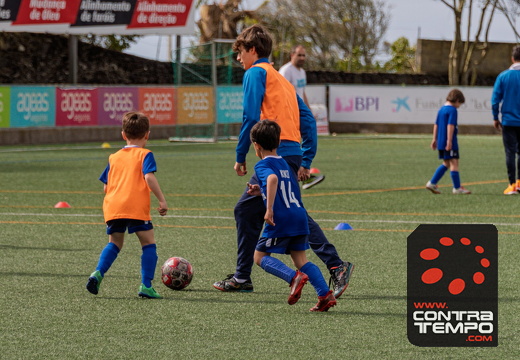 027 ACF8034(Andre Frias) (Large)