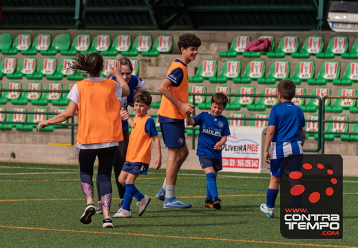 030 ACF8043(Andre Frias) (Large)