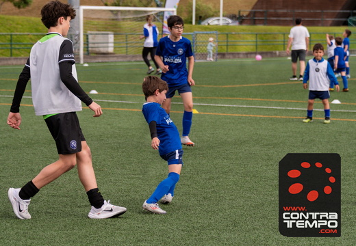 044 ACF8134(Andre Frias) (Large)