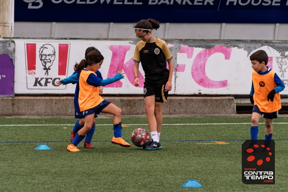 066 ACF8209(Andre Frias) (Large)