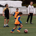 068 ACF8237(Andre Frias) (Large)